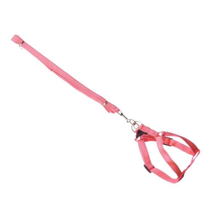 Correa Mascota 1,2 M Arnes Reflect Peq Surtidos Mascow 17X27CM (24 Unidades) 1 Correa Mascota 1,2 M Arnes Reflect Peq Surtidos Mascow 17X27CM (24 Unidades) 1