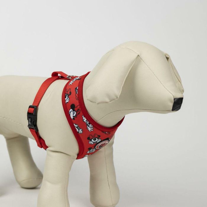 Arnés premium para perros XXS/XS minnie t1XXS:XXS/XS 5 Arnés premium para perros XXS/XS minnie t1XXS:XXS/XS 5