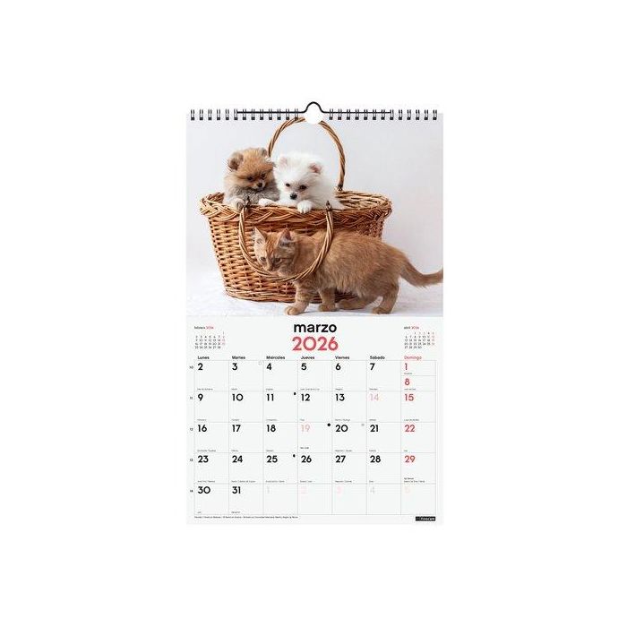 Calendario (2026) Finocam Pared Espiral Imagenes Mensual Para Escribir 250X400 Perros Y Gatos