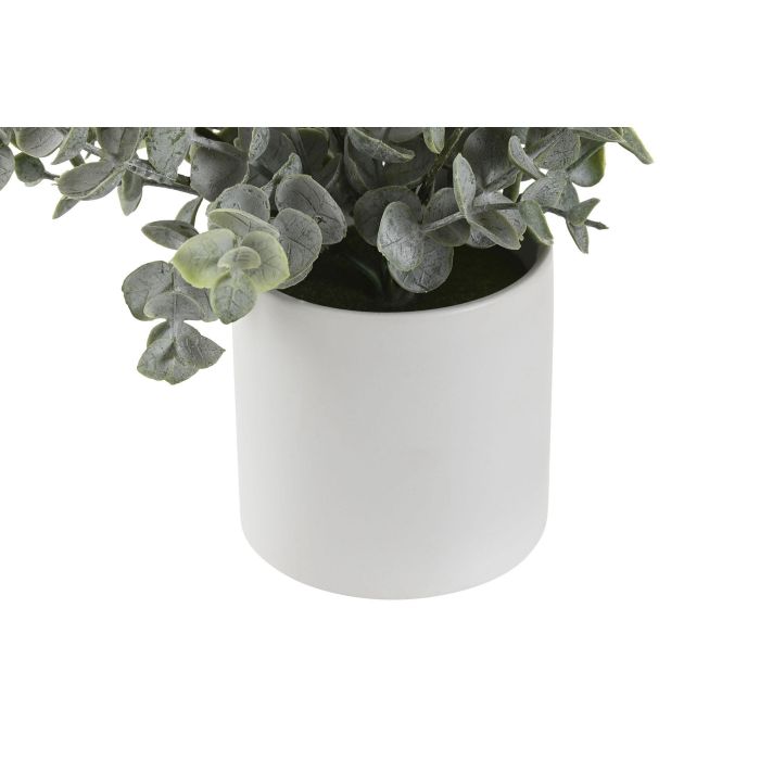 Planta DKD Home Decor Verde 15 x 20 x 15 cm (6 Unidades) 2 Planta DKD Home Decor Verde 15 x 20 x 15 cm (6 Unidades) 2