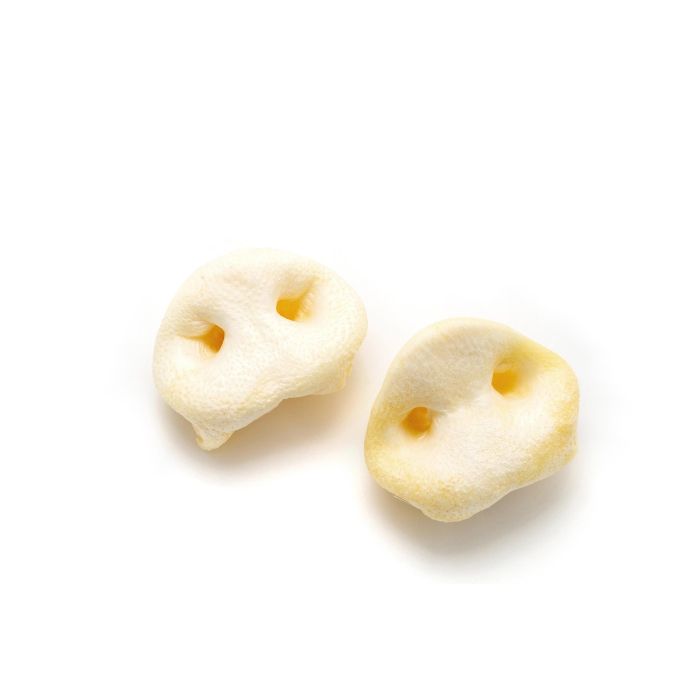 Gloria Morros de Cerdo Naturales Light para Perros, Snack Dental para Cuidado y Limpieza, Colágeno, Secado al Horno, 20 Unidades