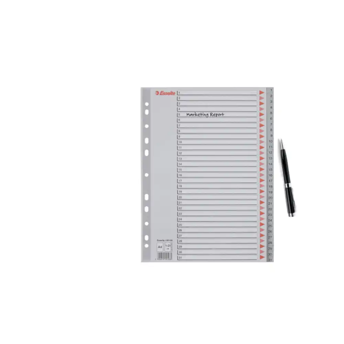 Esselte Índice Numérico Multitaladro 1-31 Polipropileno A4 Gris con Carátula Índice Cartón Color 3