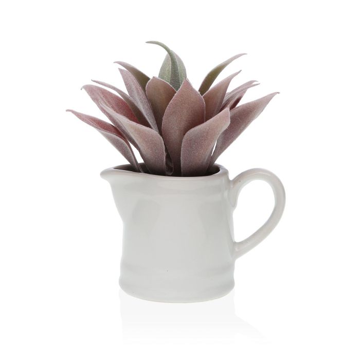 Planta Suculenta en Maceta Versa 11x11 cm - Cerámica y Plástico (6 Unidades)