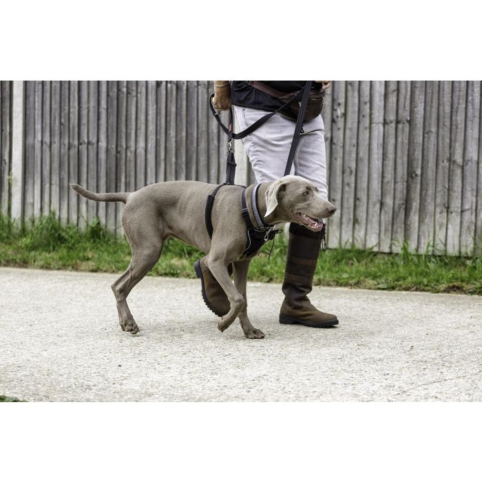 Halti Arnés Antitirones No-Pull para Perros Talla S - Cuello Ajustable 22-36cm - Doble Función de Control - Varios Niveles de Tirón - Poliéster 2