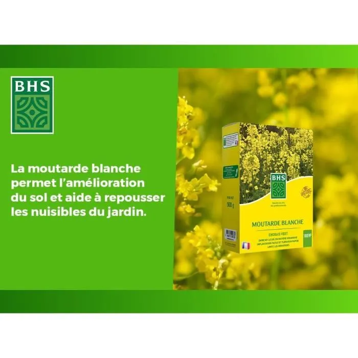 BHS AUC3366670500330 Mostaza Blanca Fertilizante 500g | Cubre 100 m² | Mejora y Desinfecta Suelos para Mayor Fertilidad 2