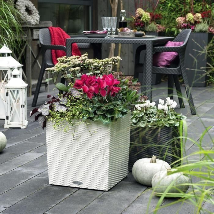 Maceta LECHUZA Cube Cottage 50 - kit completo, blanco - Plástico - 14 L - 49 x 49 x 49,5 cm 4 Maceta LECHUZA Cube Cottage 50 - kit completo, blanco - Plástico - 14 L - 49 x 49 x 49,5 cm 4