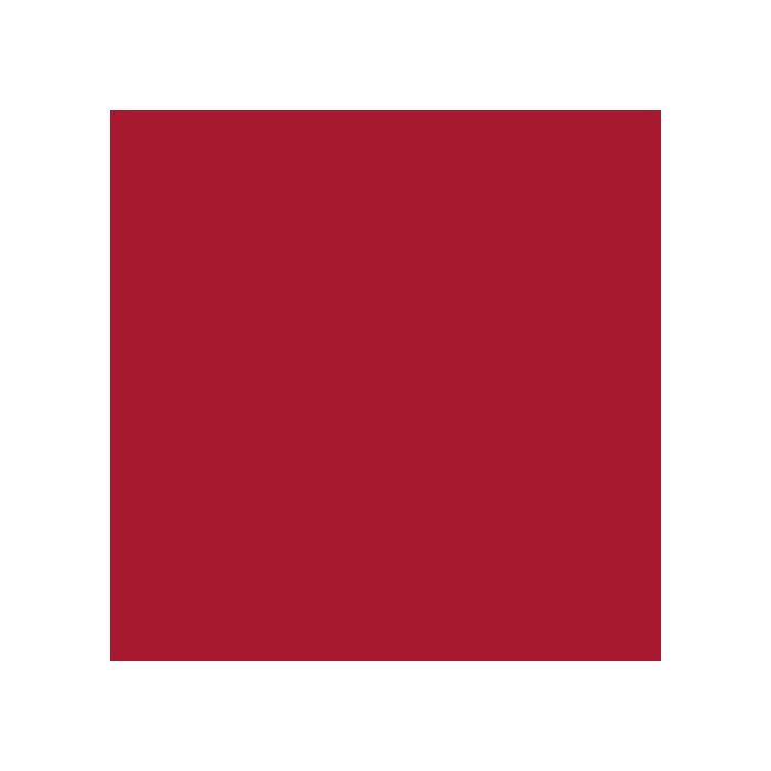 Cricut Smart Iron-On Rollo de vinilo de termotransferencia Rojo Monocromo 330mm x 2700mm Brillante Lavable Ref. 2008692 1 Cricut Smart Iron-On Rollo de vinilo de termotransferencia Rojo Monocromo 330mm x 2700mm Brillante Lavable Ref. 2008692 1