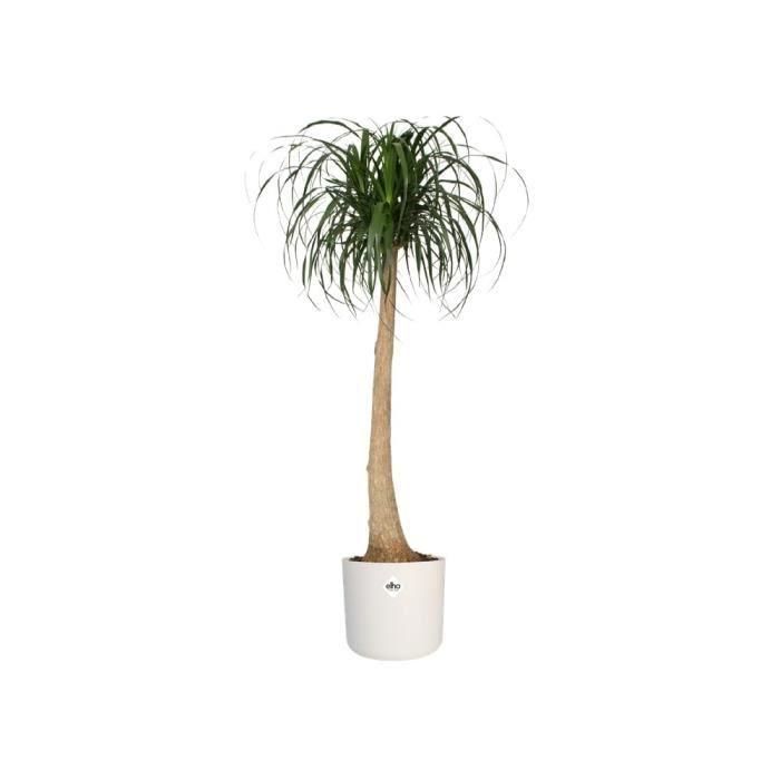 ELHO B.for Maceta Soft Round 35 - Blanco - Ø 35 x H 32 cm - interior - 100% reciclado 2 ELHO B.for Maceta Soft Round 35 - Blanco - Ø 35 x H 32 cm - interior - 100% reciclado 2
