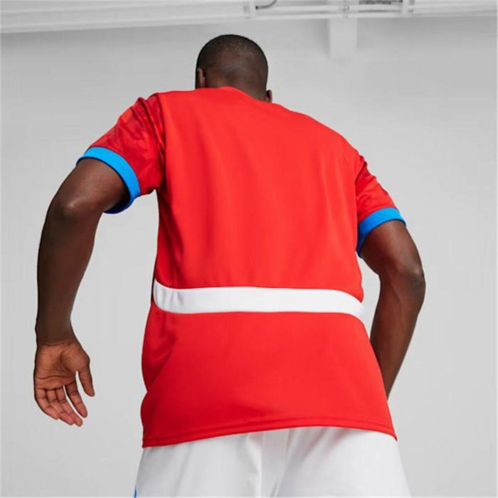 Camiseta de Manga Corta Hombre Puma Repúplica Checa 2024 Camiseta de Manga Corta Hombre Puma Repúplica Checa 2024