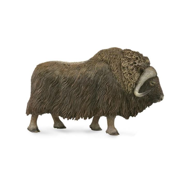 Collecta 88837 Figura Buey Almezclero Animal Ártico, Talla L, Modelo Detallado con Pelaje Grueso para Niños +3 Años 2 Collecta 88837 Figura Buey Almezclero Animal Ártico, Talla L, Modelo Detallado con Pelaje Grueso para Niños +3 Años 2