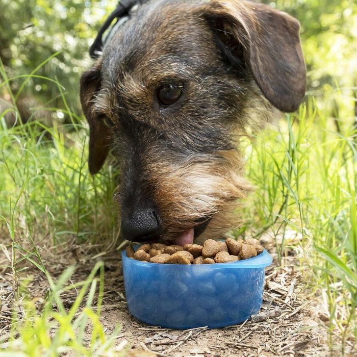 Botella con Depósito de Agua y Comida para Mascotas 2 en 1 Pettap InnovaGoods 10 Botella con Depósito de Agua y Comida para Mascotas 2 en 1 Pettap InnovaGoods 10