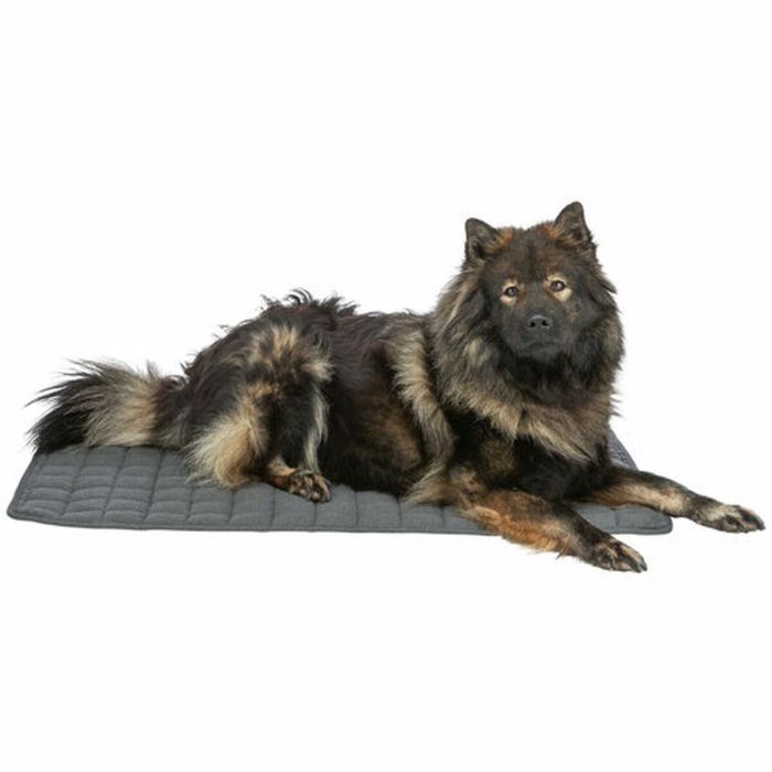 Colchoneta Trixie Gris oscuro 100 × 70 CM Perro 1 Colchoneta Trixie Gris oscuro 100 × 70 CM Perro 1