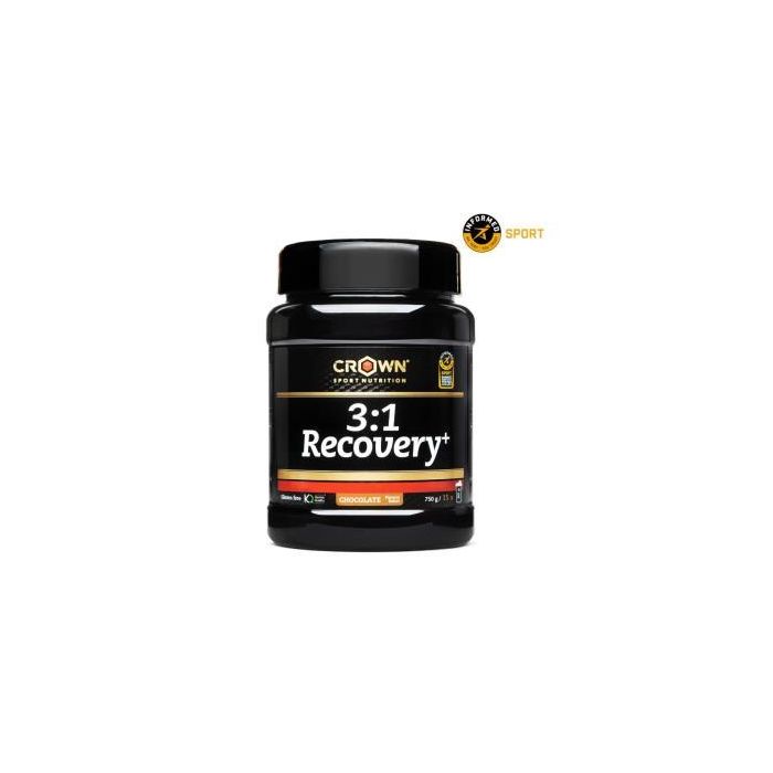 3:1 Recovery+ Choc 750 G (15 Porciones) 3:1 Recovery+ Choc 750 G (15 Porciones)