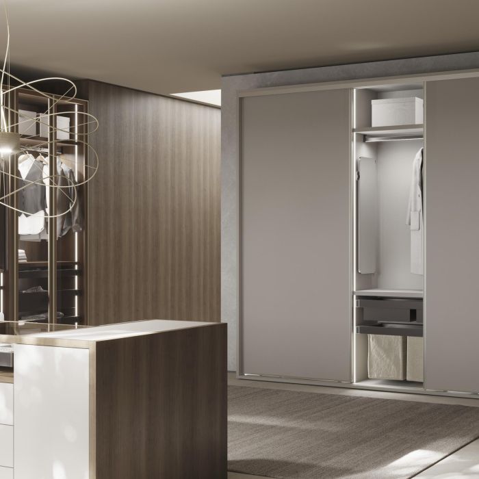 Emuca Bastidor con guías de cierre suave y extracción total para accesorios de armario Quartz, 962-988mm, Aluminio y Plástico, Titanio 6