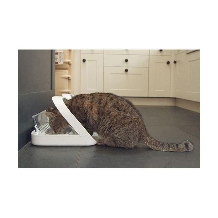 SUREFEED Dispensador de comida con chips electrónicos blancos para gatos y perros: para comida seca o comida húmeda 2 SUREFEED Dispensador de comida con chips electrónicos blancos para gatos y perros: para comida seca o comida húmeda 2
