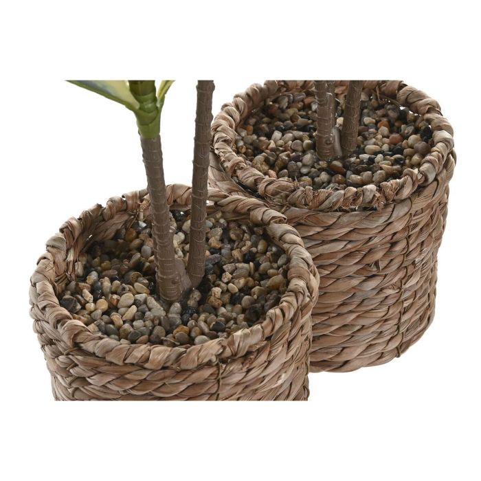 DKD Home Decor Planta Verde 30 x 75 x 30 cm (2 Unidades) 1 DKD Home Decor Planta Verde 30 x 75 x 30 cm (2 Unidades) 1
