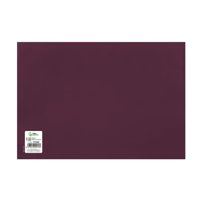 Liderpapel Subcontratacion Juego 10 Hojas Autocopiativas Tamaño Folio 2