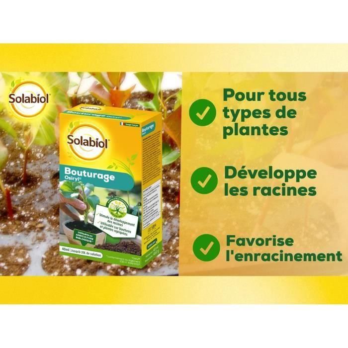 SOLABIOL SOBOUTU40 Osiryl corte - 40 ml 3 SOLABIOL SOBOUTU40 Osiryl corte - 40 ml 3