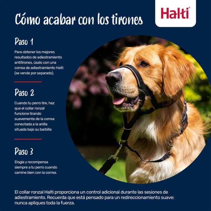 Bozal Company of Animals FOREST Verde 2 10 Bozal Company of Animals FOREST Verde 2 10