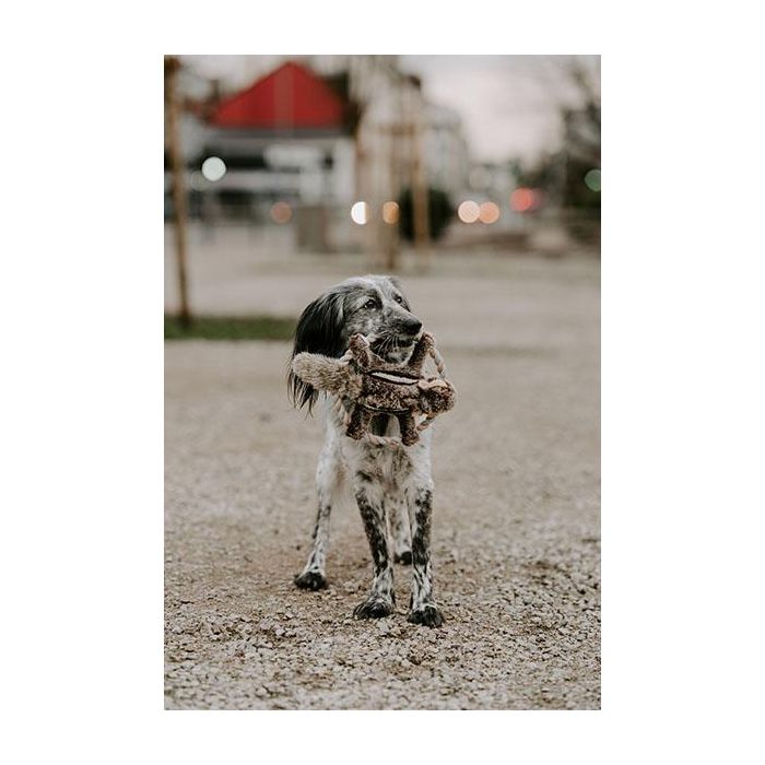 Juguete Para Perro Wildlife Train Ardilla 30 cm Juguete Para Perro Wildlife Train Ardilla 30 cm