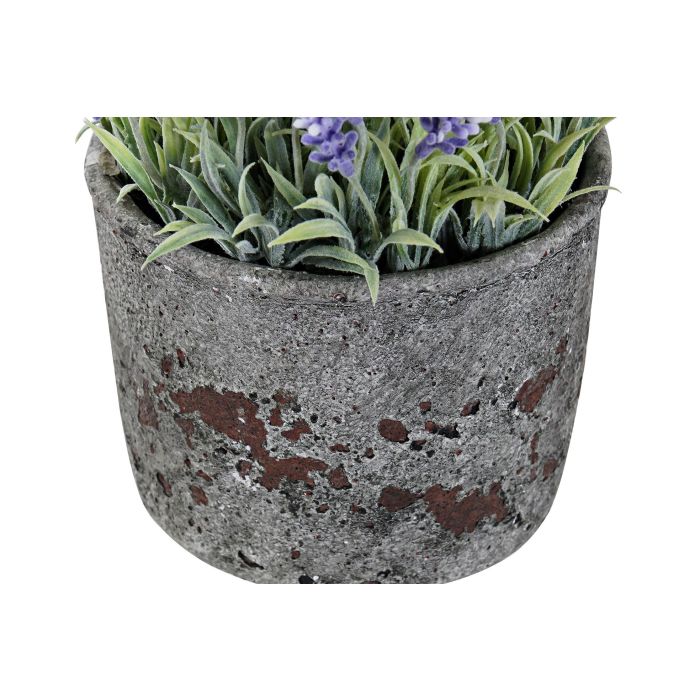 Flor DKD Home Decor 15 x 21 x 15 cm (6 Unidades) 2 Flor DKD Home Decor 15 x 21 x 15 cm (6 Unidades) 2