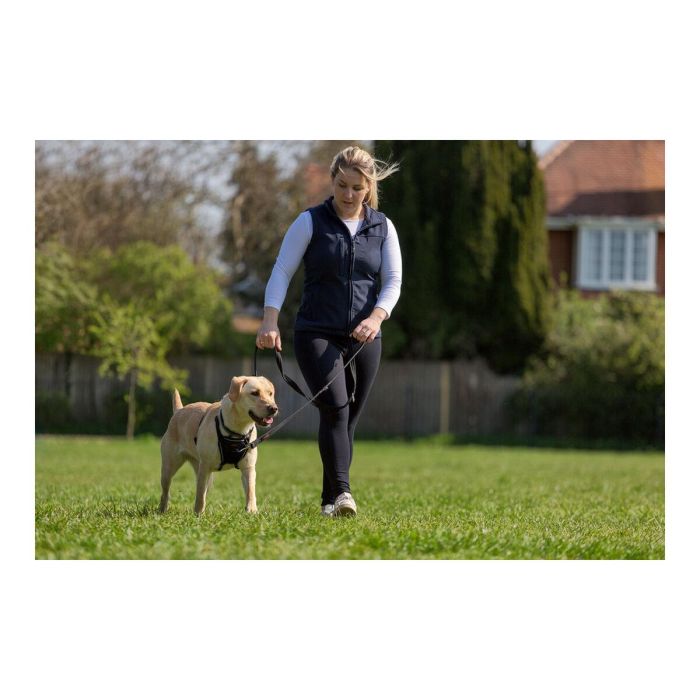 Arnés para Perro Company of Animals Halti Talla M (34-56 cm) 6 Arnés para Perro Company of Animals Halti Talla M (34-56 cm) 6