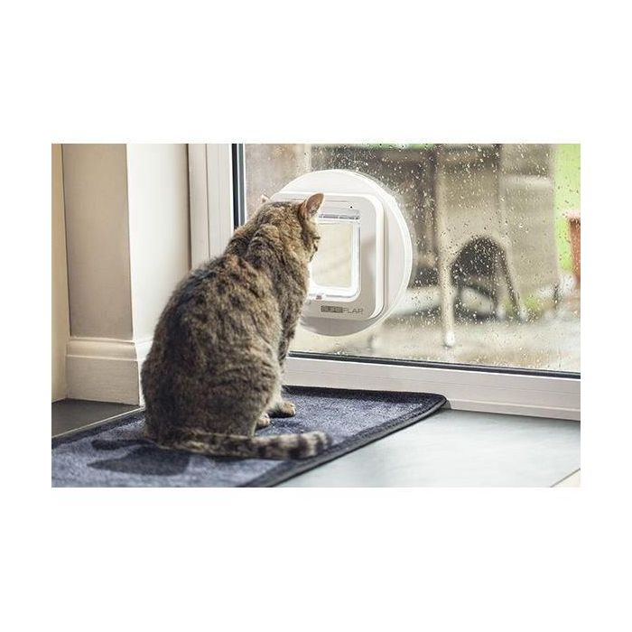 Sureflap Solapa para Gatos con Lector de Microchip Electrónico - Previene Gatos Callejeros - Memoria 32 Gatos - Blanco 1