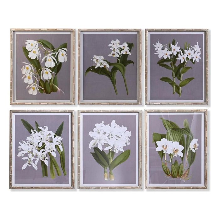 Cuadro Cottage DKD Home Decor Gris Blanco 2.8 x 60 x 50 cm (6 Unidades) Cuadro Cottage DKD Home Decor Gris Blanco 2.8 x 60 x 50 cm (6 Unidades)