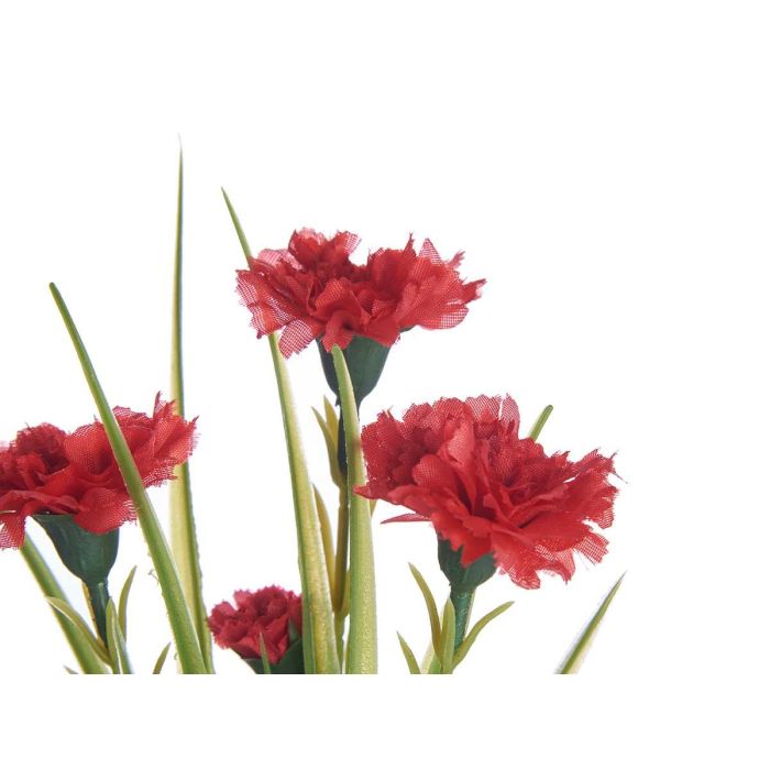 Planta Clavel Bote Metal Surtidos Ibergarden 15x31x12cm (12 Unidades) 2 Planta Clavel Bote Metal Surtidos Ibergarden 15x31x12cm (12 Unidades) 2