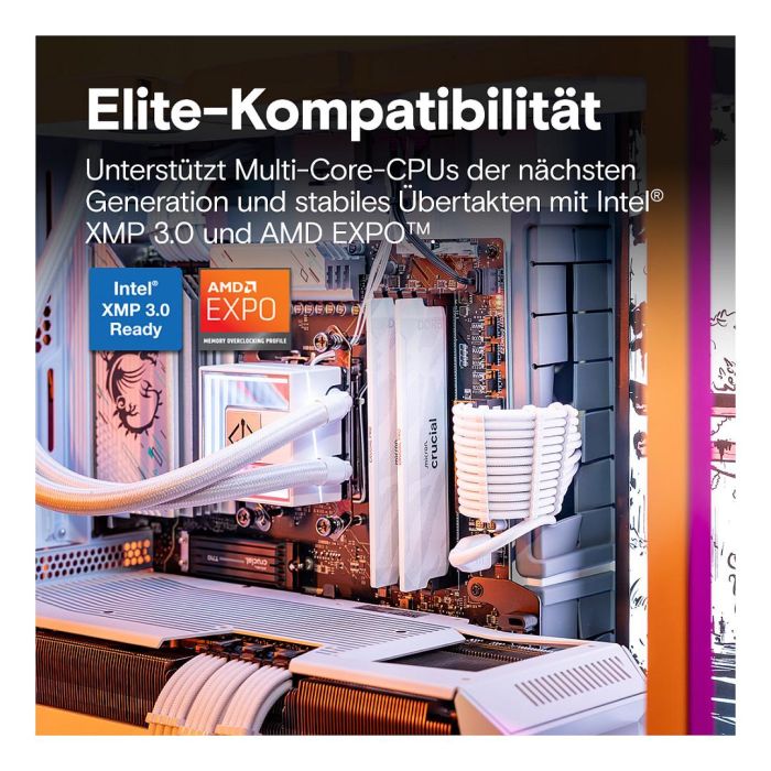 Crucial CP2K16G64C32U5W Pro 32GB Kit (2x16GB) DDR5 6400MT/s CL32 UDIMM Blanco, Intel XMP 3.0 y AMD EXPO 3