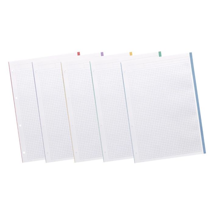 Recambio Liderpapel A4 200+50 Hojas 90 gr-M2 Cuadro 5 mm 4 Taladros Bandas De 5 Colores 5