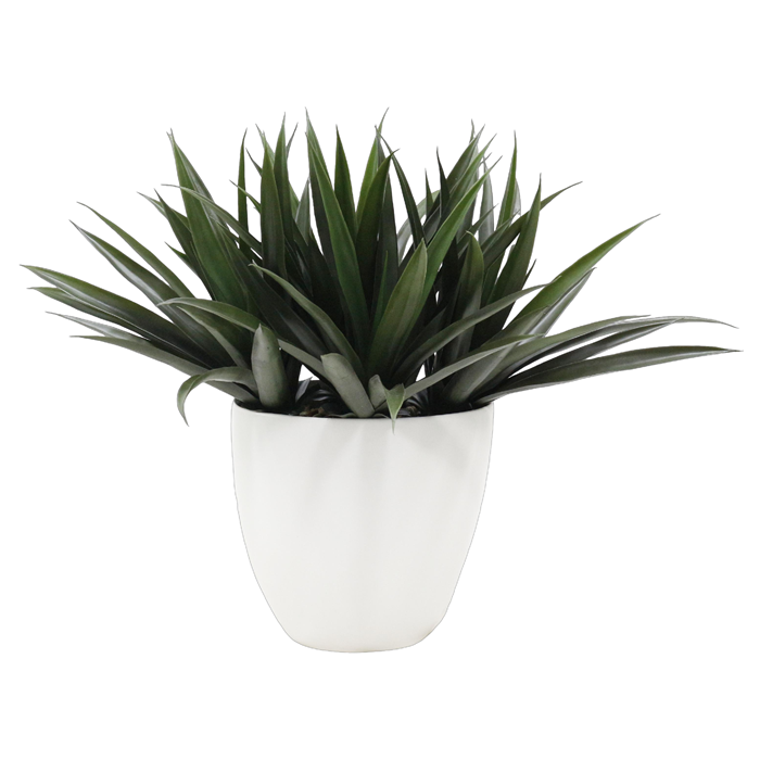 DKD Home Decor Planta Artificial Verde y Blanca de 60 x 62 x 60 cm (2 Unidades) de PE y Magnesia