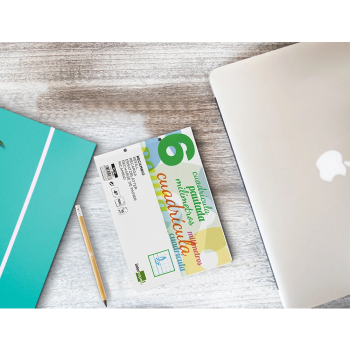 Liderpapel Recambio Cuarto Apaisado Pautaguía 100 Hojas 75gr Cuadriculado Pautado 6mm con Margen y 2 Taladros 7