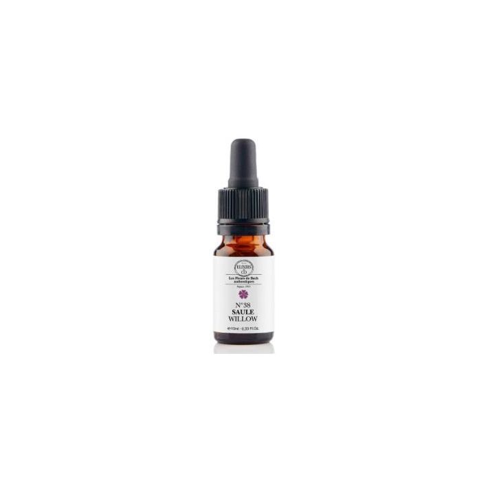 Sauce 10 Ml
