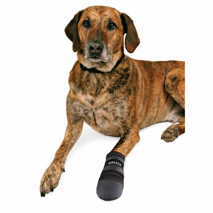 Botas Trixie Walker Care Negro XXL 1