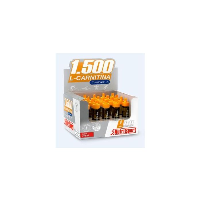 L Carnitina 1500 Fresa 20Amp
