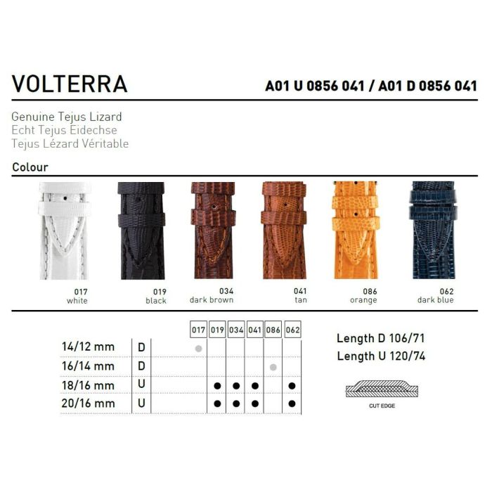 Correa para Reloj Morellato A01U0856041062CR20 20 mm 1 Correa para Reloj Morellato A01U0856041062CR20 20 mm 1