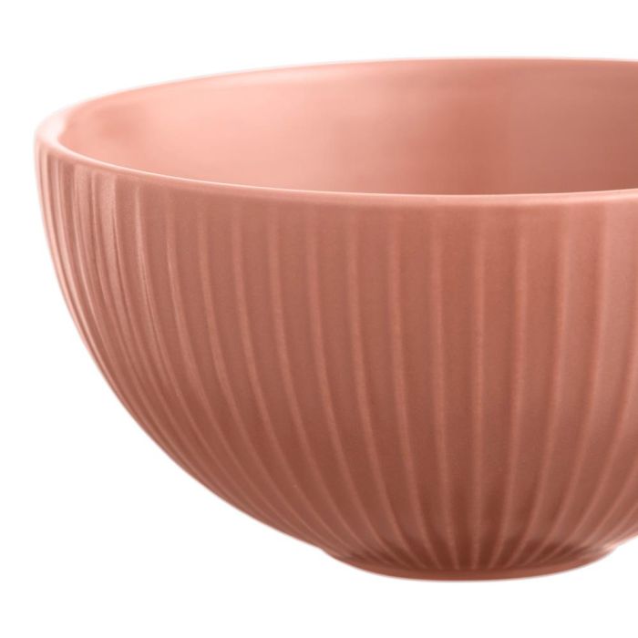 Day Bol Diámetro 12,5 cm Altura 6,5 cm Capacidad 300 ml Colores Surtidos 5