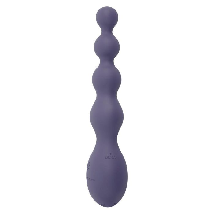 Vibrador Anal Negro Evolved Zero Tolerance Morado 13
