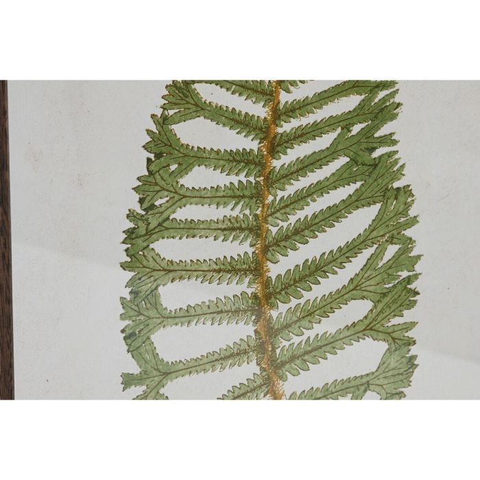 Cuadro Home ESPRIT Cristal Abeto 45 x 2,5 x 70 cm 2
