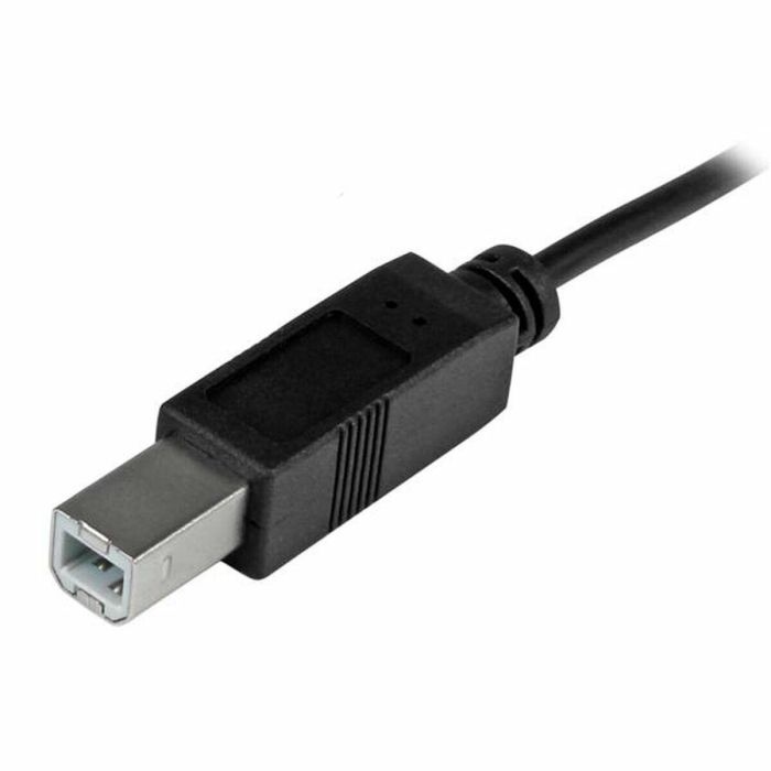 Cable USB C a USB B Startech USB2CB2M (2 m) Negro 1 Cable USB C a USB B Startech USB2CB2M (2 m) Negro 1