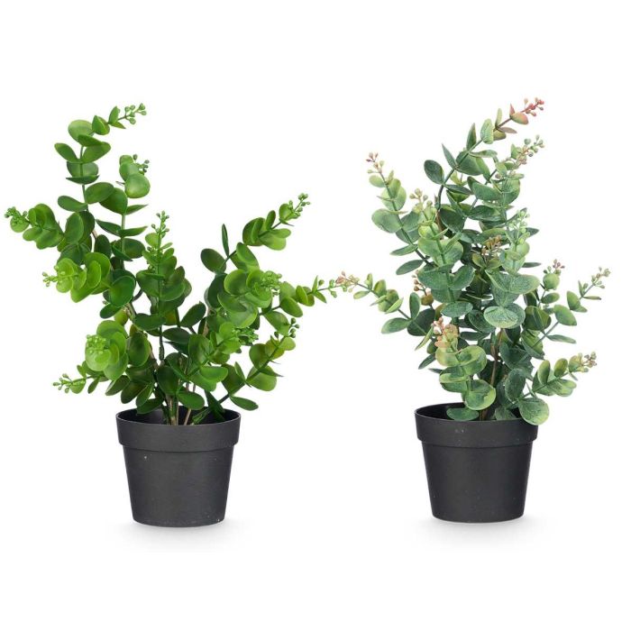 Maceta Planta Hoja Bola Mate Brillo Surtidos Col Ibergarden 16X35CM (12 Unidades) 1 Maceta Planta Hoja Bola Mate Brillo Surtidos Col Ibergarden 16X35CM (12 Unidades) 1