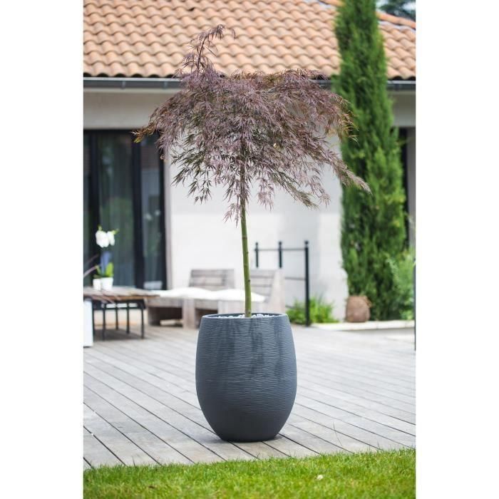EDA 13737GANTPX12 Maceta Redonda Grafito Ø50cm, 53L, Gris Antracita 2 EDA 13737GANTPX12 Maceta Redonda Grafito Ø50cm, 53L, Gris Antracita 2