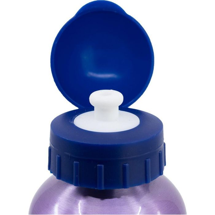 Botella Alto Aluminio 530 mL Frozen CZ11261 3 Botella Alto Aluminio 530 mL Frozen CZ11261 3
