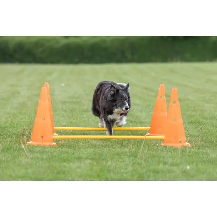 TRIXIE Lote de 3 actividades de obstáculos para perros - Diámetro 23 cm, Largo 78 cm - Naranja y amarillo 5