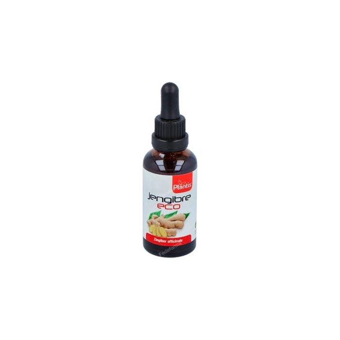 ARTESANIA Extracto de Jengibre Ecológico 50ml - Zingiber officinale