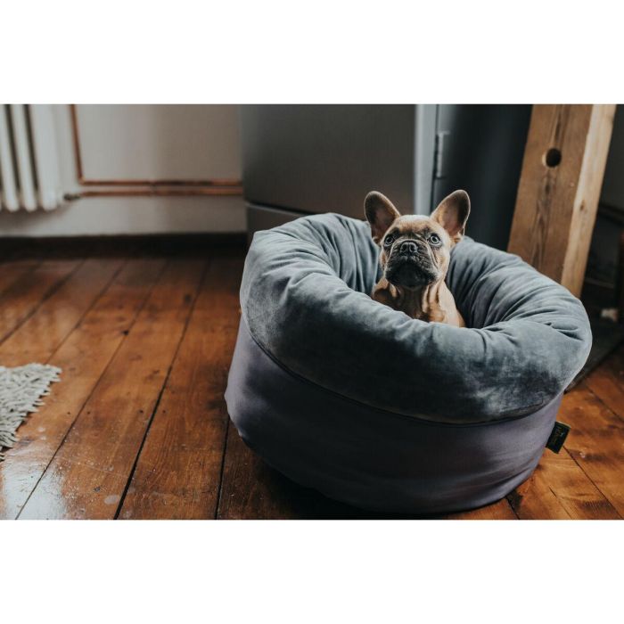Cama para Perro Hunter Miranda Gris 50 x 50 cm 4