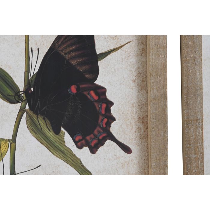 DKD Home Decor Cuadro Shabby con Mariposas de Cristal y Abeto Multicolor Beige 50x40 cm (4 Unidades) 2 DKD Home Decor Cuadro Shabby con Mariposas de Cristal y Abeto Multicolor Beige 50x40 cm (4 Unidades) 2