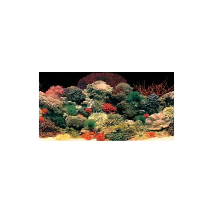 Ferplast Fondo para Acuario Imagen Doble Cara Blu 9054 120x50 cm