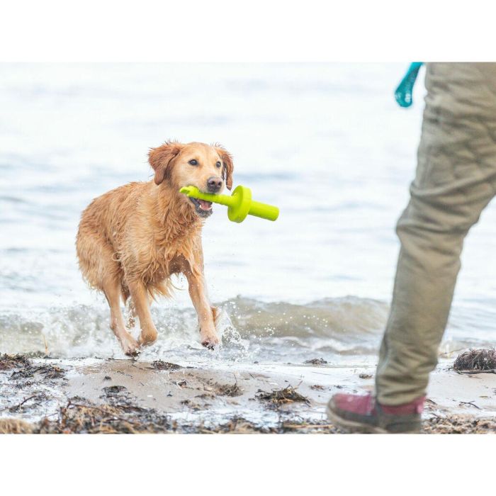 Mordedor de perro Trixie 29 cm 9